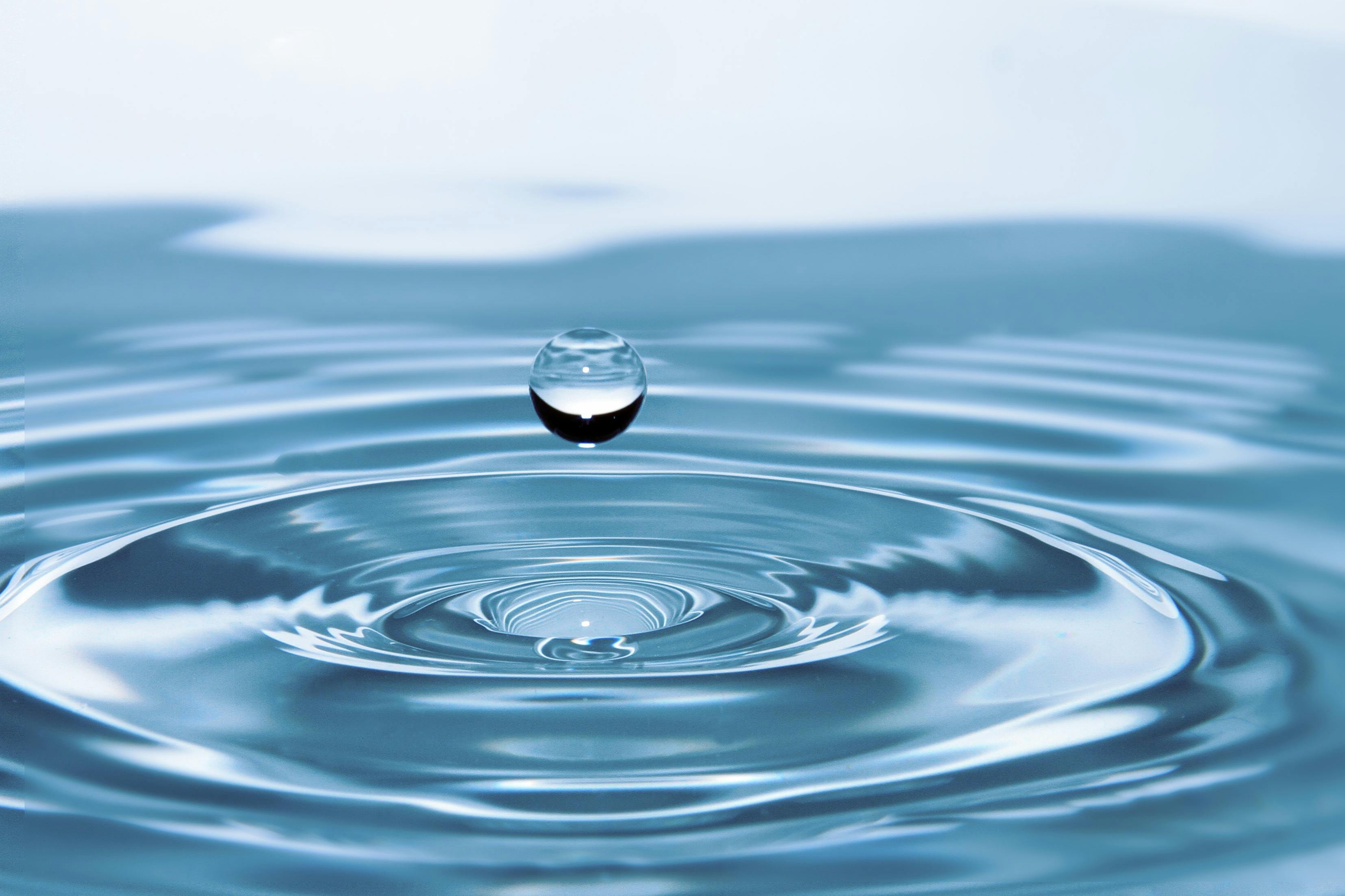 Water Bynoki